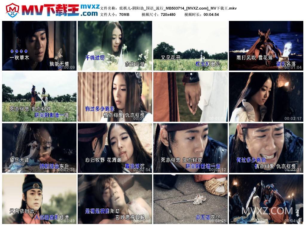 炫棋儿-阴阳劫_国语_流行_MB503714